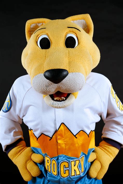 Who is nuggets mascot
